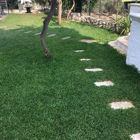 Ziupe *